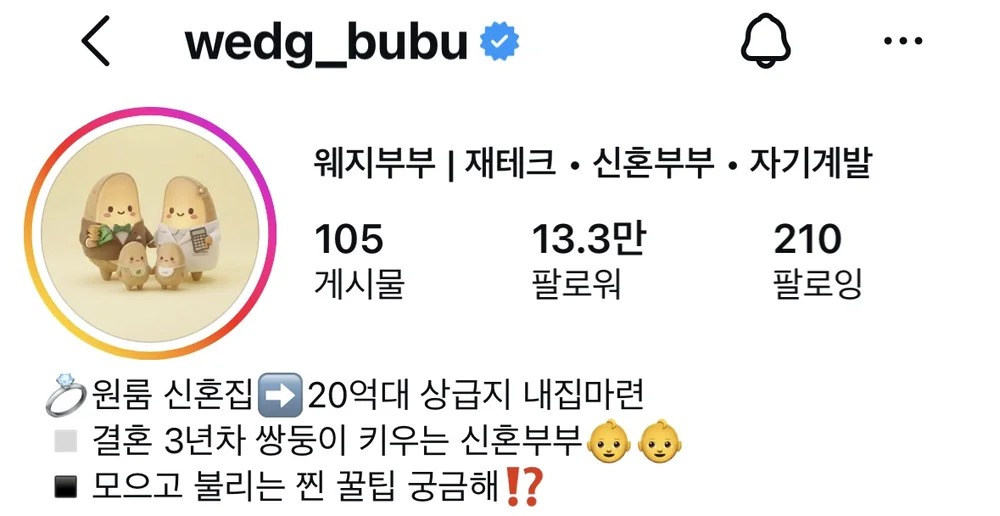 웨지부부 인스타그램 @wedg_bubu 프로필 화면, 팔로워 13.3만